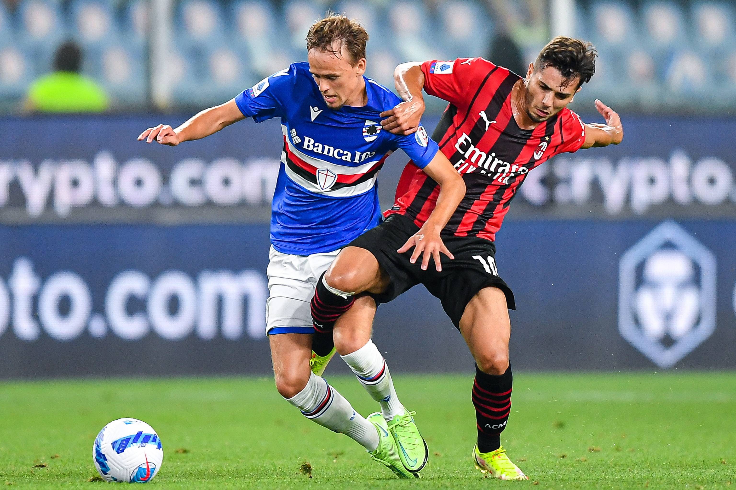 本场比赛 本场比赛